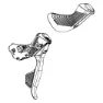 SRAM Rival Axs Disc Høyre Bremsehendel Med Elektronisk Girskifter, Black, One Size