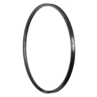 Stans NoTubes Arch Mk4 29´´ Felg
