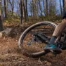 Stans NoTubes Arch Mk4 29´´ Felg