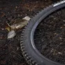 Stans NoTubes Flow Mk4 29´´ Felg
