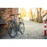 Steco Flow 16 Mm Bagasjebrett Foran, Black, 28"