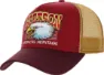Brown/red
