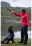 stormberg Skrelia resirkulert skallbukse dame