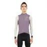 Purple / gray