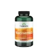 Swanson Niacinamide 250 kapsler, 500mg