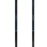 Swix Dynamic D2 Spaserstokker