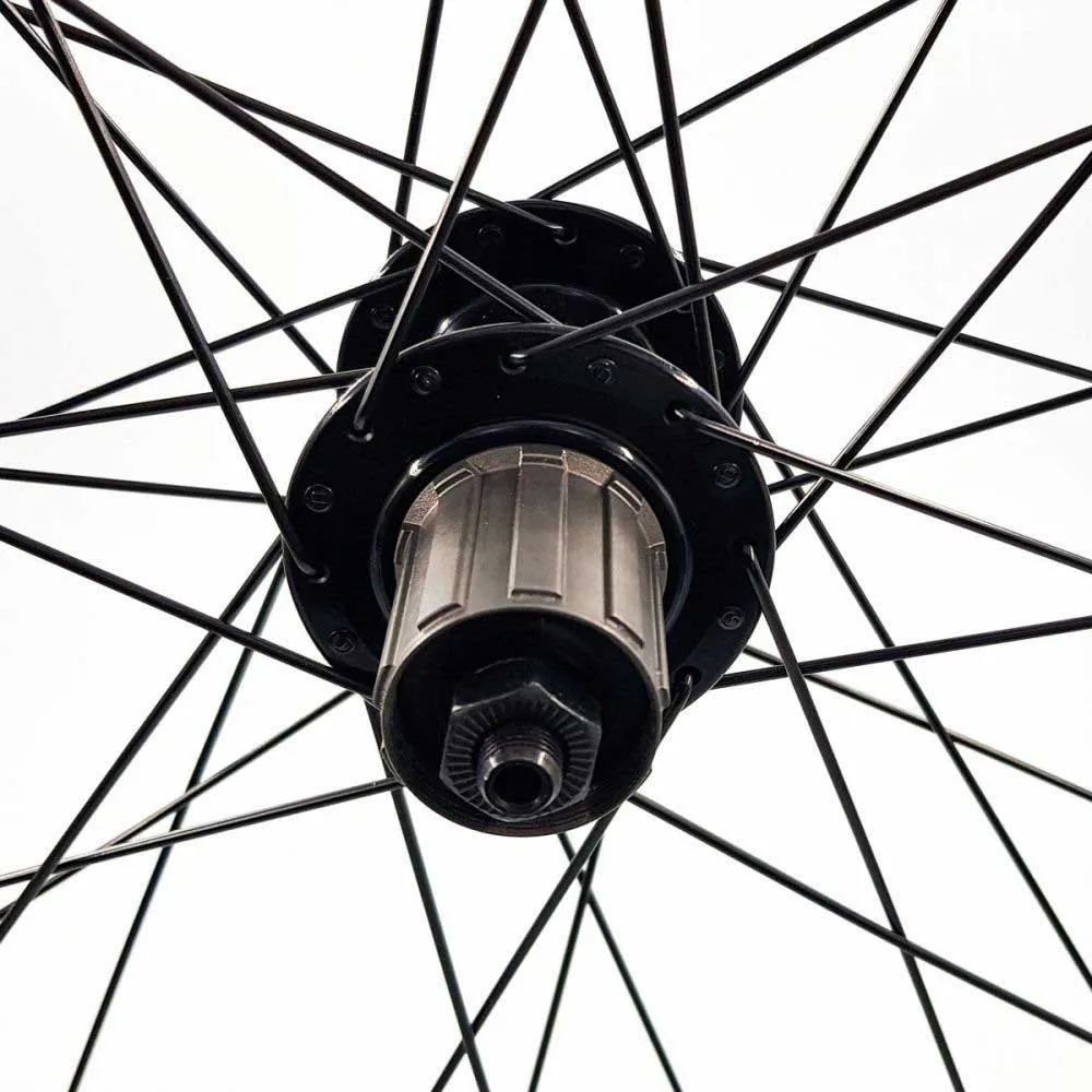 SXT 388627 Neuro Disc 2r Qr 6b 29´´ Mtb Bakhjul, Black, One Size, Shimano/Sram HG SXT 388627 Neuro Disc 2r Qr 6b 29´´ Mtb Bakhjul, Black, One Size, Shimano/Sram HG