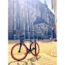 SXT Singlespeed 1 1/8 Size 58 Gaffel
