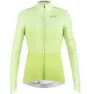 Lime archived