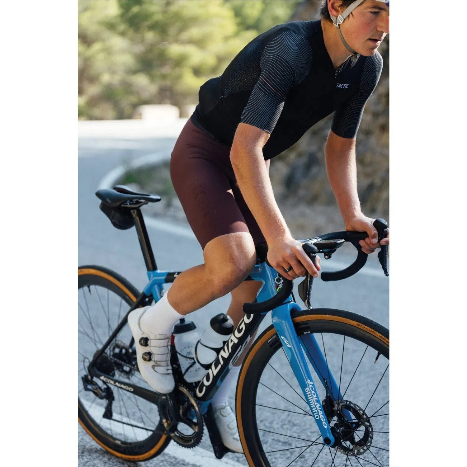 Tactic Signature Bibshort Tactic Signature Bibshort
