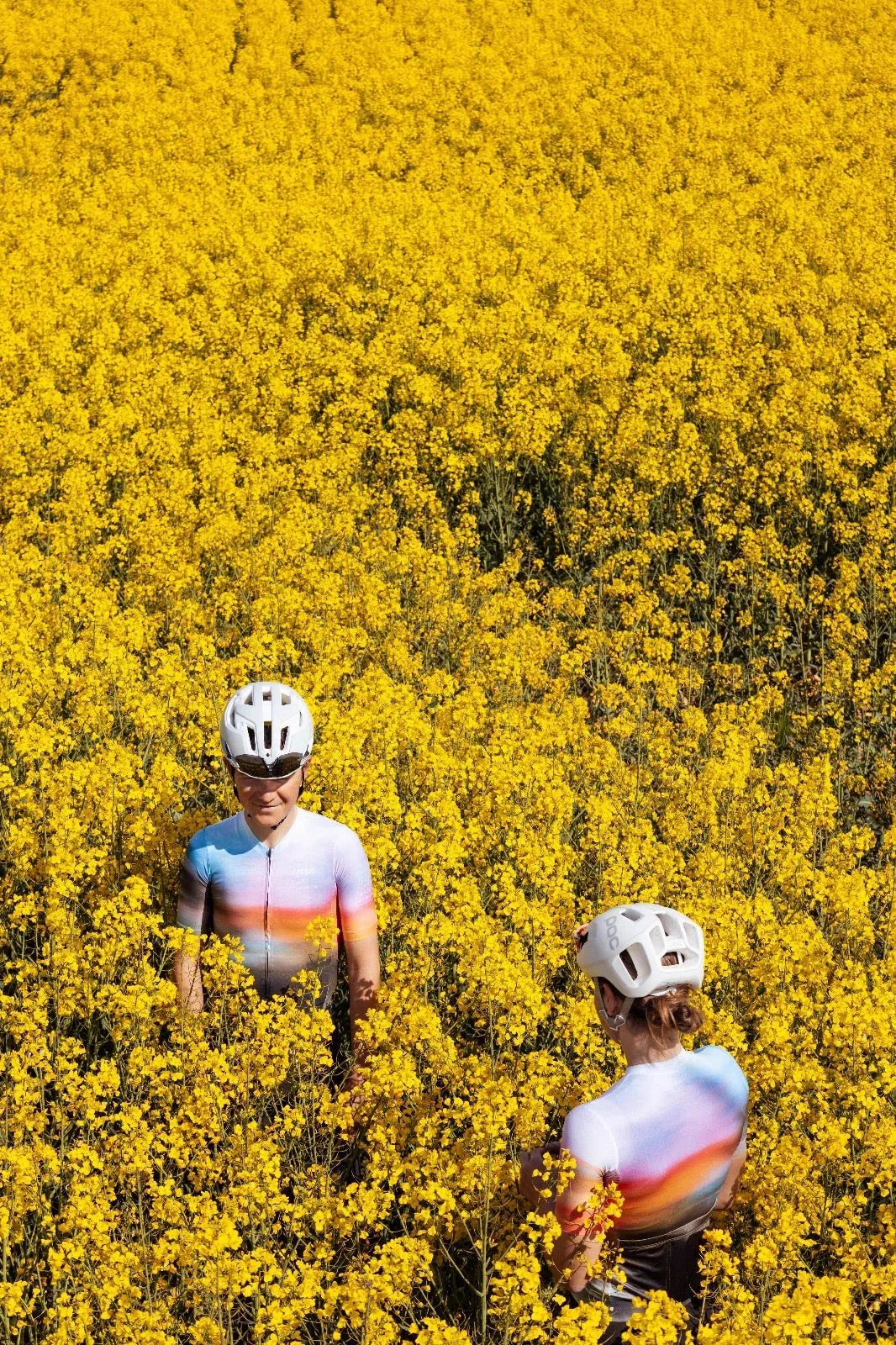 Tactic x Velodrom Jersey Tactic x Velodrom Jersey