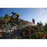 Technomousse Green Constrictor Mtb 650b Plus Punkteringsbeskyttende Skum, Green, 27.5"
