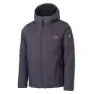 Whales grey