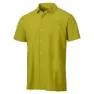 Citrus green