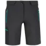 Ternua Kultus Shorts