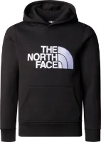 The North Face Boys' Drew Peak Hoodie