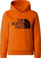 The North Face Boys' Drew Peak Hoodie