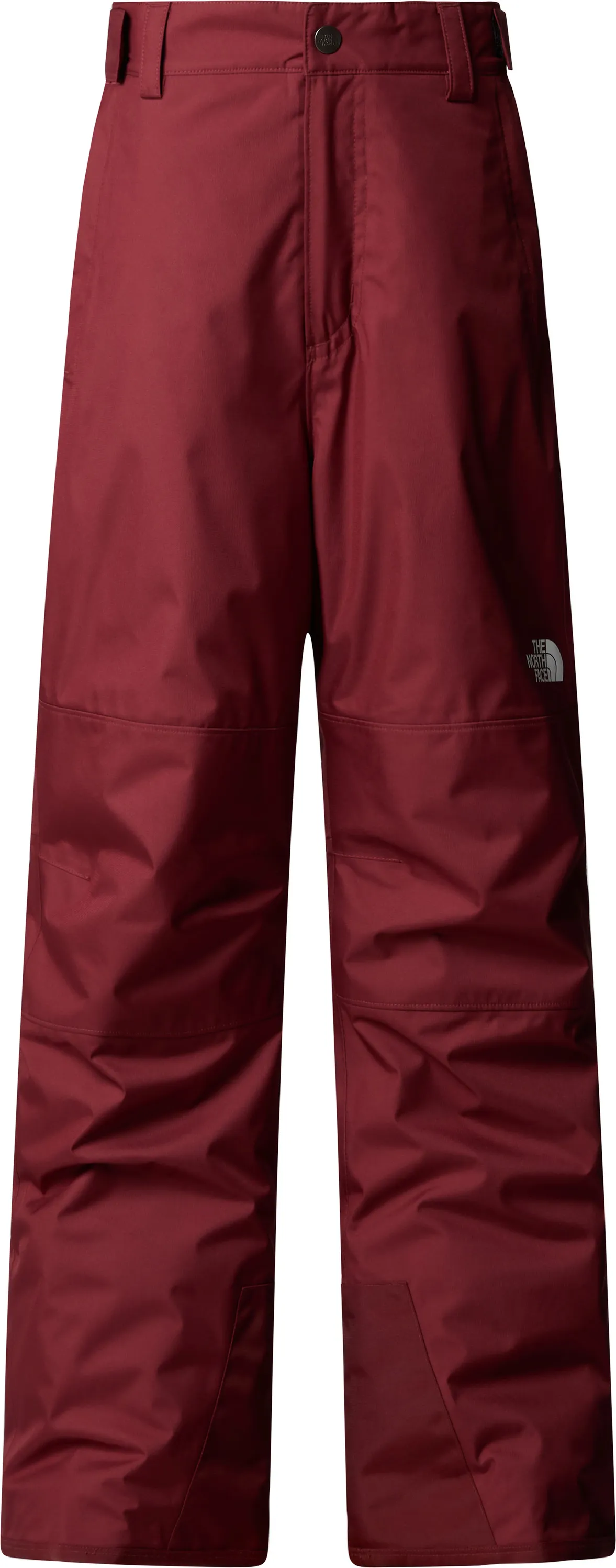 The North Face Boys' Freedom Insulated Pant