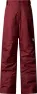 The North Face Boys' Freedom Insulated Pant