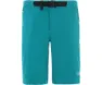 The North Face Face Speedlight Shorts Women, Fanfare green