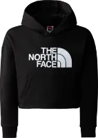 The North Face Girls' Drew Peak Light Hoodie