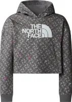 The North Face Girls' Light Drew Peak Printed Hoodie