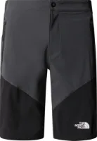 The North Face Men's Felik Slim Tapered Shorts