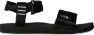 Tnf black/white dune
