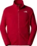 Garnet red