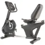 Thor Fitness Recumbent Bike