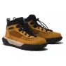 Wheat 2