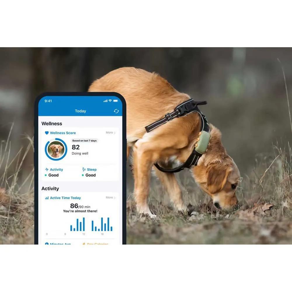 Tractive Dog Xl Gps-lokator, Green, One Size