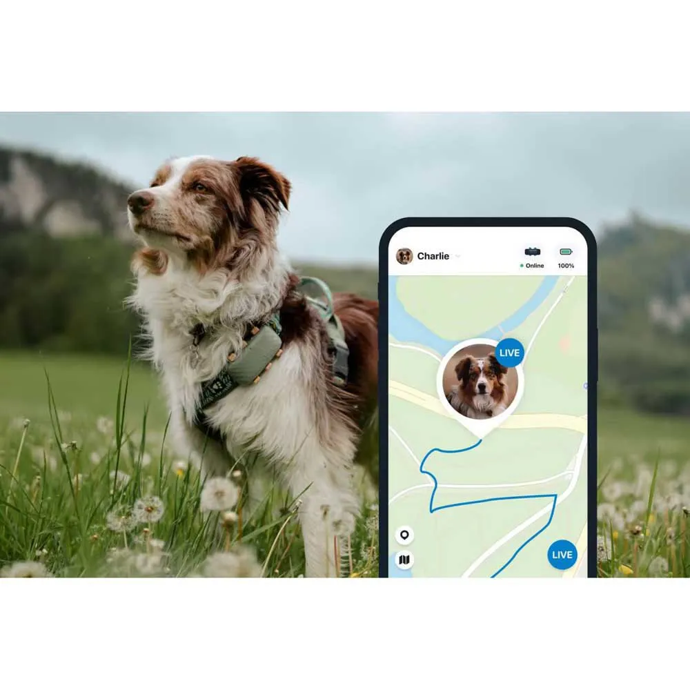 Tractive Dog Xl Gps-lokator, Green, One Size