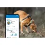 Tractive Dog Xl Gps-lokator, Green, One Size