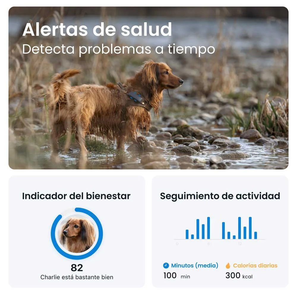 Tractive Gps-lokator