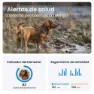 Tractive Gps-lokator