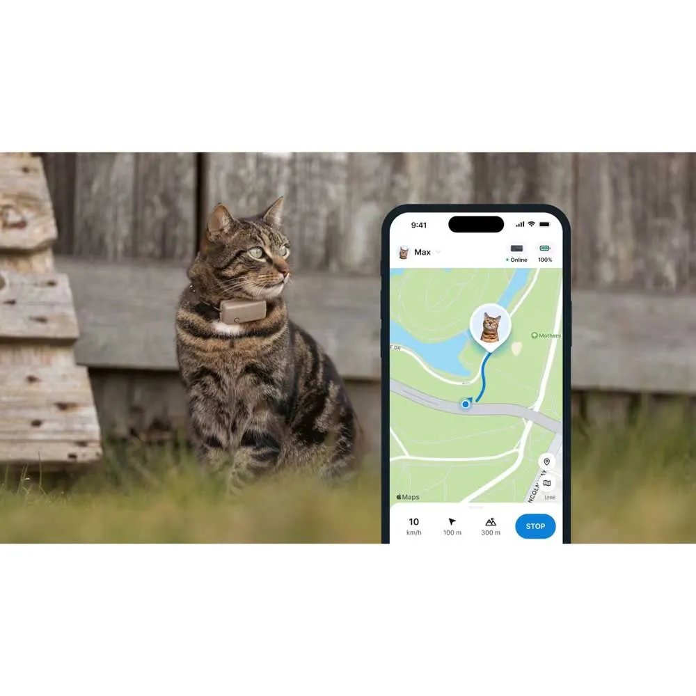 Tractive Mini Cat Activity Gps-lokator