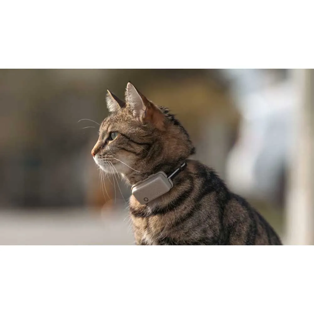 Tractive Mini Cat Activity Gps-lokator