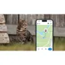 Tractive Mini Cat Activity Gps-lokator