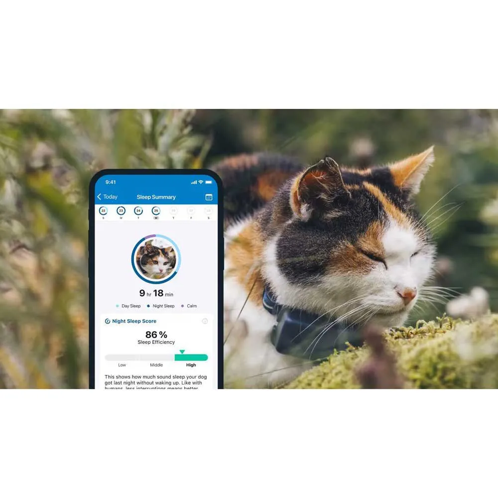 Tractive Mini Gps-lokator, Blue, One Size Tractive Mini Gps-lokator, Blue, One Size