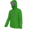 Macaw green
