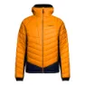 Mustard / dark blue