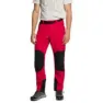 Dark red / black