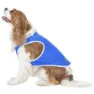 Trespass Alaska Cooling Hundegenser