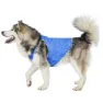 Trespass Alaska Cooling Hundegenser
