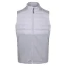 Gull grey