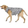 Trespass Charly Printed Rain Hundegenser