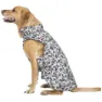 Trespass Charly Printed Rain Hundegenser