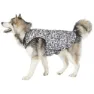 Trespass Charly Printed Rain Hundegenser