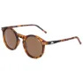 Trespass Elta Solbriller, Turtle, CAT3
